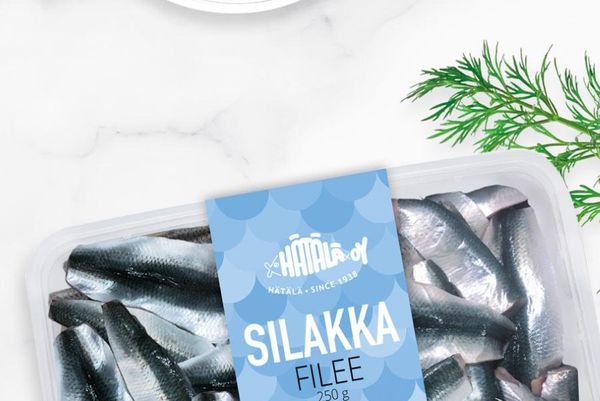 Herring Fillet from 핀란드 supplied by Hatala - Atlantic Herring (=Clupea harengus=Sea Herring=Sild=Common Herring=North Sea Herring=Norwegian Spring Spawning herring) 신선 청어 필레