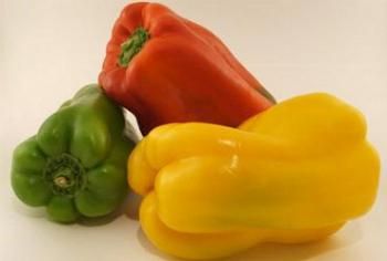 Square Pepper from 이탈리아 supplied by Pro agri - Square 신선 피망
