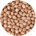 Chickpeas from 아르헨티나 supplied by Paramerica S.A. - PP Bags 말린 병아리콩