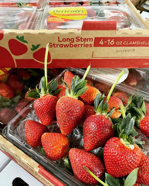 Strawberry from United States supplied by Chefs' Produce - Plastic Punnets (=Clamshells) Fresh Strawberry