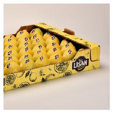 Fresh Lemon from 스페인 supplied by El Limonar de Santomera - Fino (=Primofiori=Mesero=Blano=Primofiore) 신선 레몬