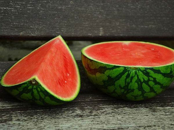 Fresh Watermelon from 스페인 supplied by Cosafra - Whole 신선 수박