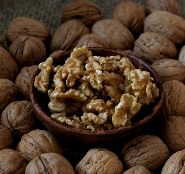 In Shell Walnut from 포르투갈 supplied by Branco Carvalho Neto  (BCN) - In-shell 생호두