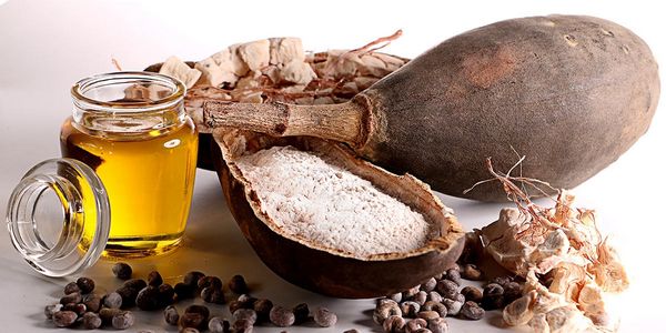 Baobab Fruit from 세네갈 supplied by Baonane SAR - Powder 바오밥나무 열매