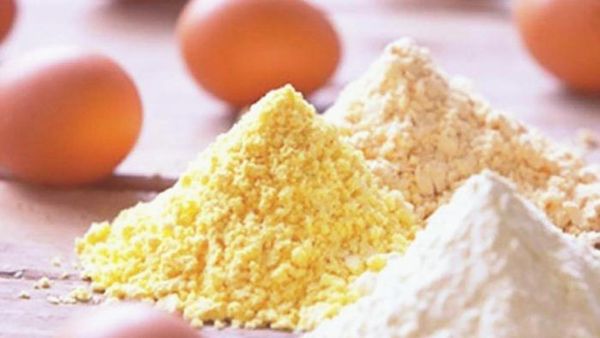 Chicken Egg from Brazil supplied by The Four Import. Export Ltda - Powder Chicken Egg