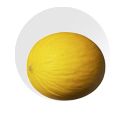 Honeydew Melon from 스페인 supplied by Fruca Marketing - Honeydew 신선 멜론(머스크 멜론)