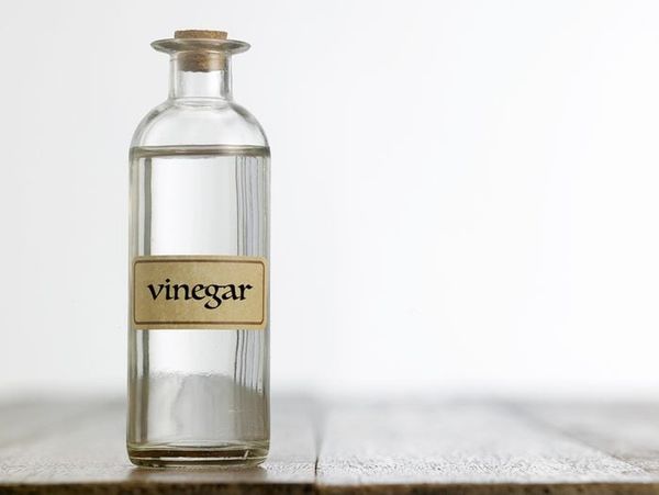ORGANIC VINEGARS from 미국 supplied by Mizkan America, Inc. - White 식초