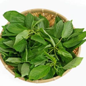 Molokhia from 이집트 supplied by International Delta Center for Export - Excellent Quality 몰로키아