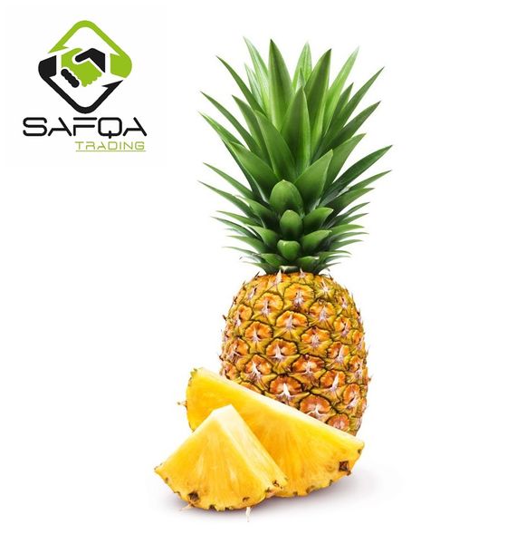 Fresh Pineapple from 에티오피아 supplied by Safqa Trading - 크기: 과일 12개 신선 파인애플