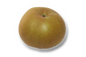 Pippin apple from Portugal supplied by NARC FRUTAS – Cooperativa de Fruticultores e Horticultores da Região de Alcobaça, C.R.L - Pippin Fresh Apple