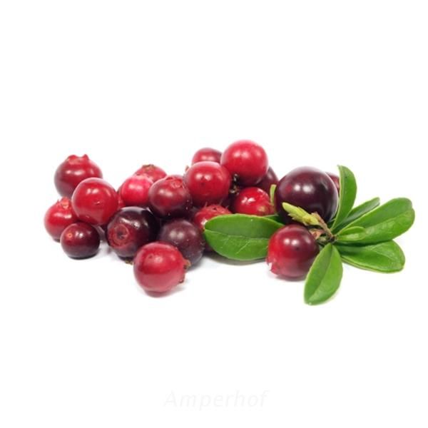Cranberry from 독일 supplied by Amperhof-Die Ökokiste Gisela Kinzelmann - Red 신선 크랜베리
