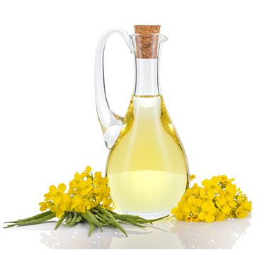 Canola Oil from United States supplied by Gama Products, Inc - Refined Crude Canola Oil & Rapeseed Oil
