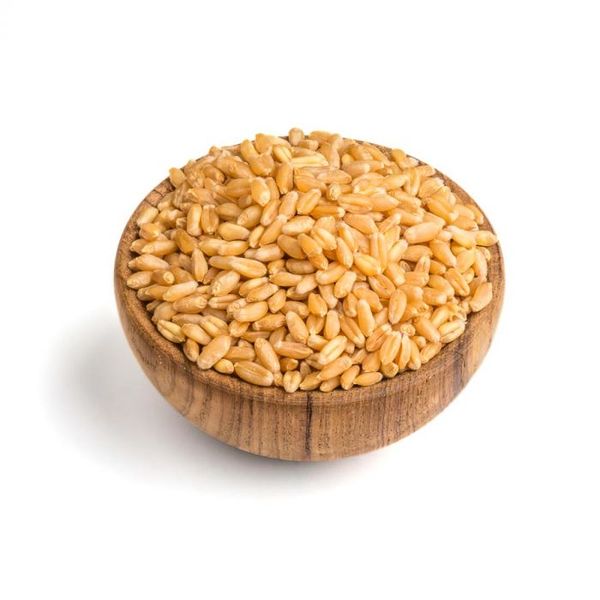 Spring Wheat from Czechia supplied by Družina Dačice - Whole Wheat
