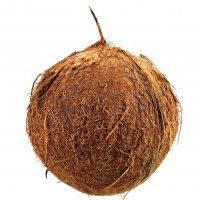 Coconut from 벨기에 supplied by Special Fruit - Whole 기타 신선 코코넛