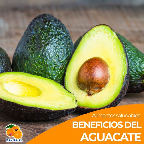 Avocado from 스페인 supplied by Rubio Plata SL - 짙은 녹색 신선 아보카도