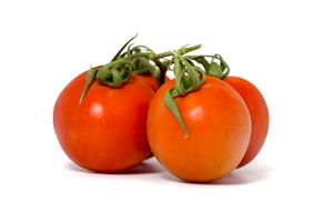 Fresh Tomato from Israel supplied by Shook-book - Red Fresh Tomato