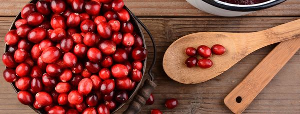 Fresh Cranberry from 핀란드 supplied by Marja Bothnia Berries - Fresh (=Chilled) 신선 크랜베리