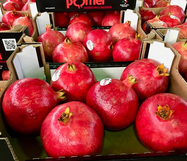 Top Quality Italian Pomegranate from Italy supplied by Pomel Srl - Wonderful (=Qirmizi Qabiq Veles) Fresh Pomegranate