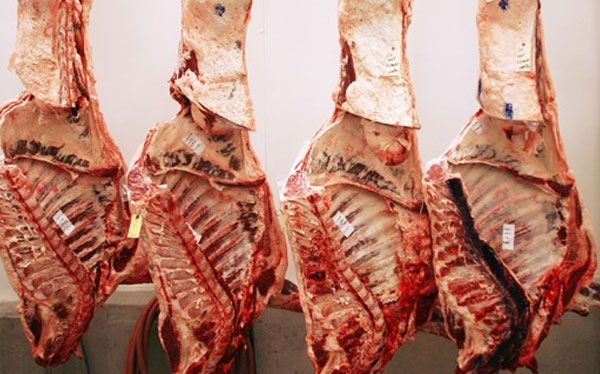 carcass sides from Botswana supplied by Botswana Meat Commission - Fresh (=Chilled=Raw) Other Frozen Beef Parts
