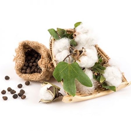 Cotton Seed from 그리스 supplied by Avgi Ltd - Raw (=Natural) 목화 씨