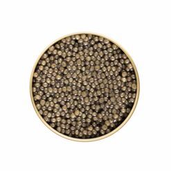 Caviar from United Kingdom supplied by King's Fine Foods - Fresh (=Chilled=Raw) Caviar