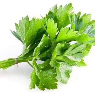 Fresh Coriander from Canada supplied by Mister Produce - Fresh (=Chilled) Coriander