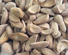 Premium Iranian Almond from 이란 supplied by RASHA PISTACHIO CO. - Premium Quality 아몬드 알맹이