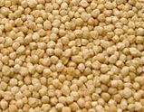 Chickpea from 미얀마 [버마] supplied by Chan Myae Yoma Company Limited - Dried (=Dehydrated) 말린 병아리콩