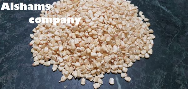 white corn with high quality from Egypt supplied by Al Shams company for general import and export - Dried Common Bean