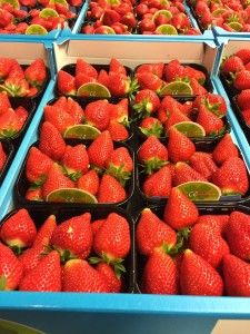 Strawberry from 벨기에 supplied by Lejeune - Whole 신선 딸기