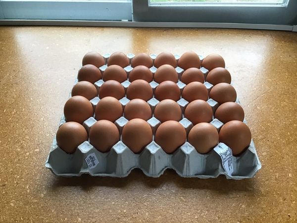 Eggs from 뉴질랜드 supplied by Aotearoa Free Range Eggs Limited - Free-range 달걀