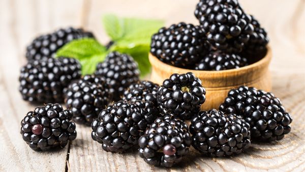 Blackberry from 칠레 supplied by Exportaciones e Inversiones Agroberries SA - Whole 신선 블랙베리