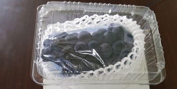 Fresh Grape from 대한민국 supplied by World International Co. - Shine Muscat 신선 포도
