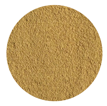 Vietnam Organic Ginger [Slices/ Powder] from Vietnam supplied by Viet Haus Ltd. - Whole Ginger