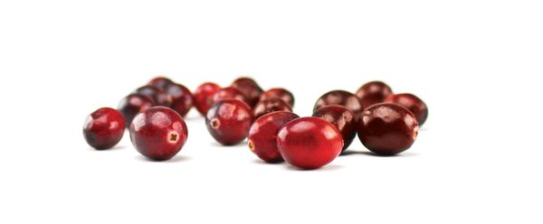 Cranberries from United States supplied by Bridges Organic Produce - Fresh (=Chilled) Fresh Cranberry
