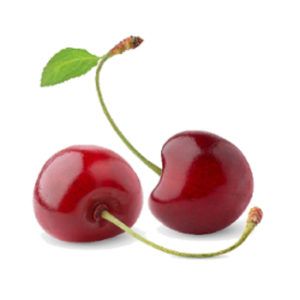 Cherry from 이탈리아 supplied by Green fruit - Dark 신선 체리