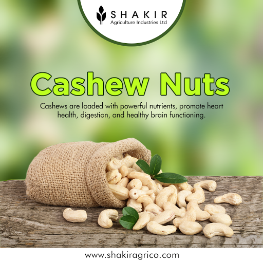 Cashew Nuts from 우간다 supplied by Shakir Agriculture Industries Ltd. - Cashew Nut 캐슈너트 알맹이