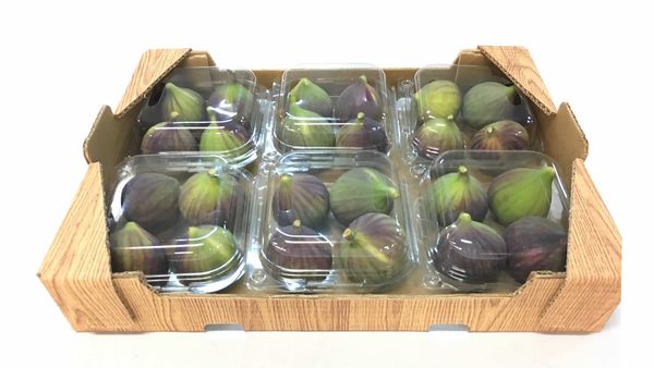 Fresh Black Fig from 튀르키예 supplied by Alara Tarim Urunleri Sanayi Ve Ticaret A S - Black Bursa 신선 무화과