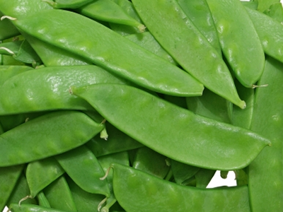Sweet Pea from 페루 supplied by Peruvian Specialties S.A.C. - Green 스노우피