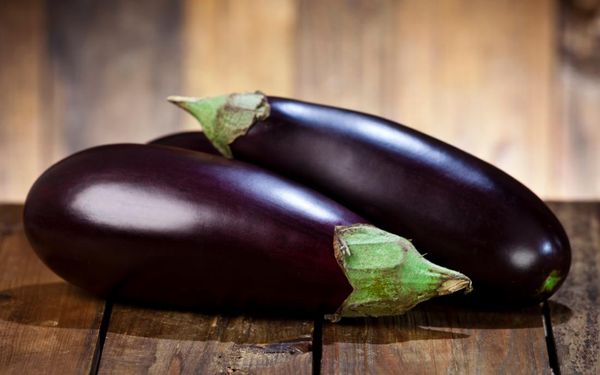 Eggplant from 독일 supplied by Otto Stedtfeld GmbH - Oval 가지