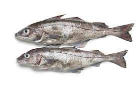 Dried Haddock from Iceland supplied by Vestfiskur - Frozen Frozen Haddock