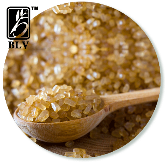 Raw Cane Sugar from 인도 supplied by Bhagwati Lacto Vegetarian Exports Pvt. Ltd. - Pure Cane Sugar 설탕