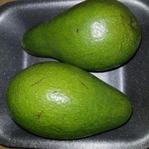 Avocado from South Africa supplied by Loerie Processed Veg - Green Fresh Avocado