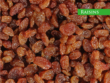 Raisin from 아프가니스탄 supplied by Afghan Fruits Ltd. - Dried 건포도