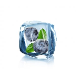 frozen blueberry from 스웨덴 supplied by OLLE SVENSSON AB - Bilberry (=Vaccinium myrtillus) 신선 블루베리