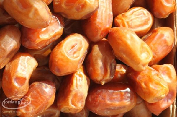 Date from 이스라엘 supplied by Hadiklaim Date Grower's Cooperative - Dried 말린 대추야자
