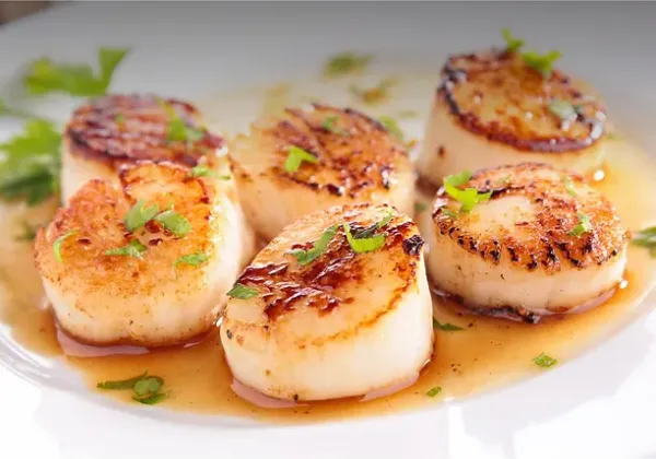 Scallop from 미국 supplied by Chapman's Seafoods Ltd - Fresh (=Chilled=Raw) 냉동 가리비
