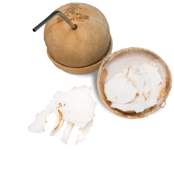 Coconut from 브라질 supplied by Eden Coco - Brown 기타 신선 코코넛