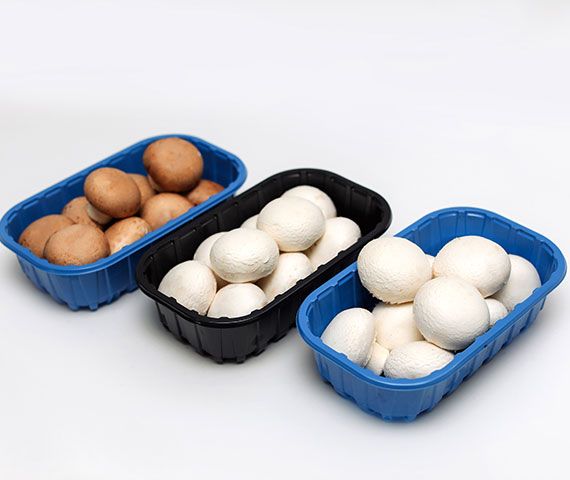Brown Mushroom from 폴란드 supplied by Grupa Producentów "Grzybowy Raj" Sp. z o.o. - Brown 크레미니 버섯