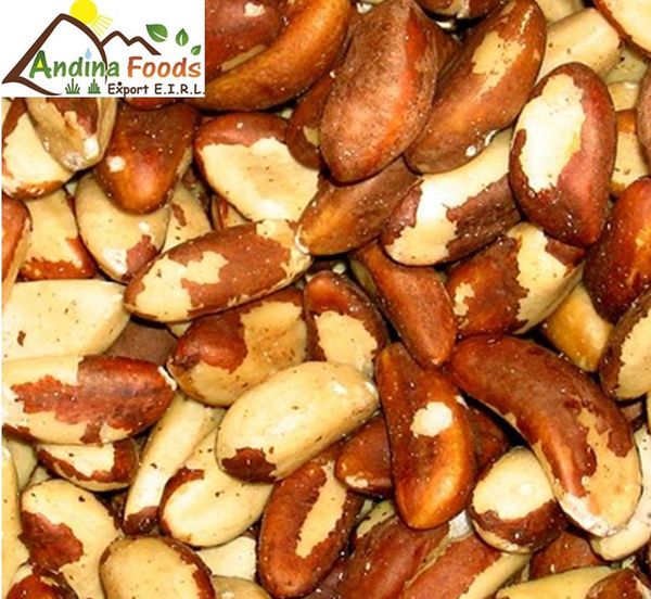 Brazil nuts from 페루 supplied by Andina Foods Export E.I.R.L. - Dried 브라질너트 알맹이